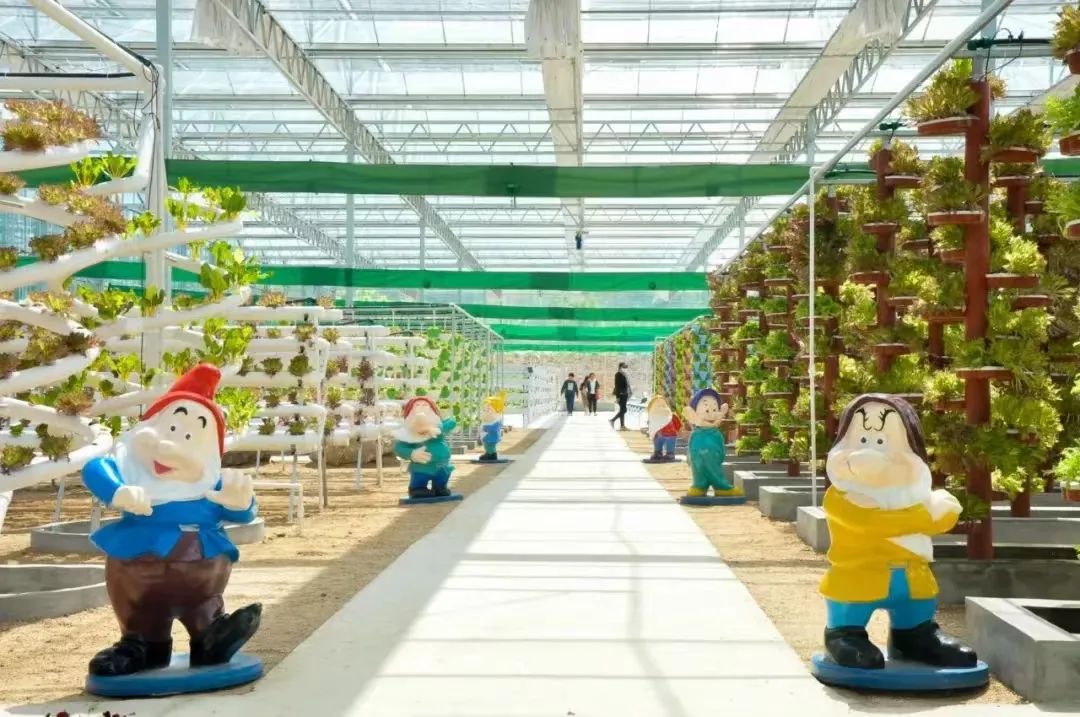 爱体育在线网站与钢城区棋山国家森林公园携手合作助力乡村振兴